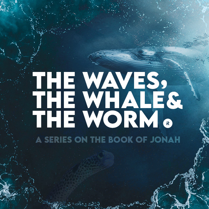 The Waves, The Whale, and The Worm