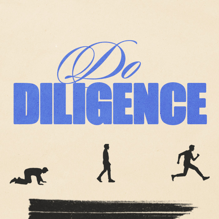 Do Diligence